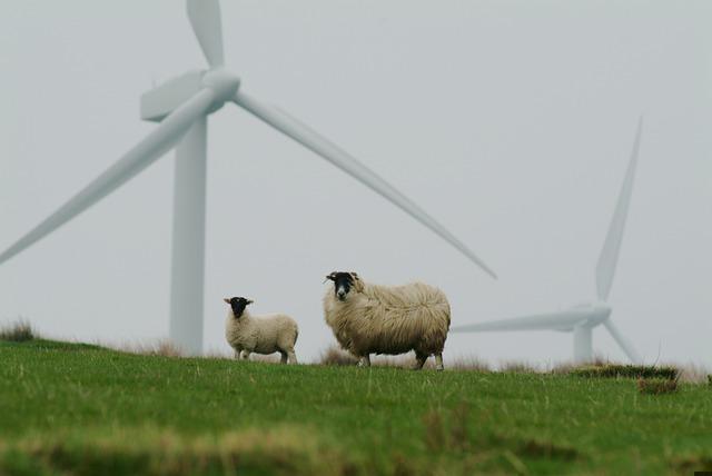 Lang leve de wind! 5 weetjes over windenergie